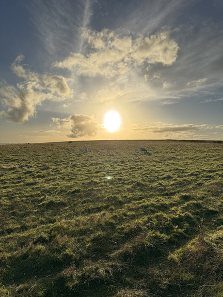 A Stunning Day Hike exploring Wilbury Hill!